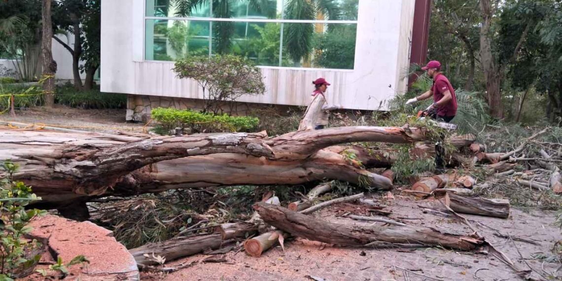 Frente frío 25 en Altamira