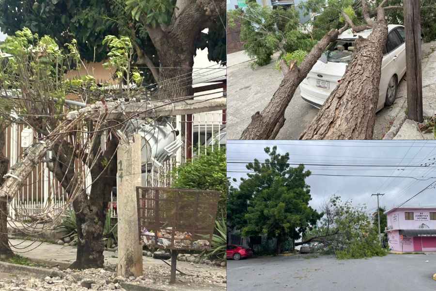 Fuertes vientos en Victoria (1)