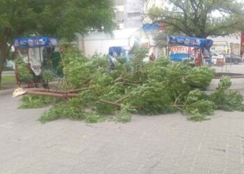 Fuertes vientos en Victoria