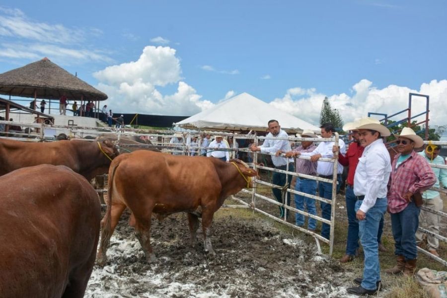 Ganaderos de Tamaulipas cierran 2025 con balance positivo, afirma Guerrero Gamboa