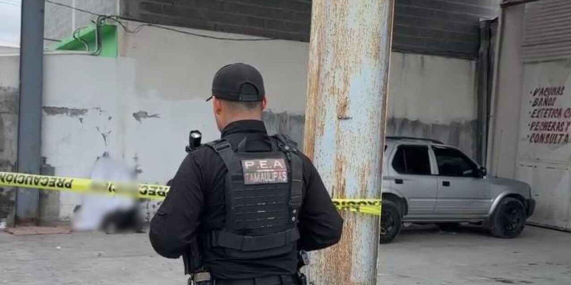 veterinaria sin vida masculino Matamoros