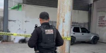 veterinaria sin vida masculino Matamoros