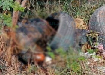 Hombre muerto en predio baldío de Reynosa