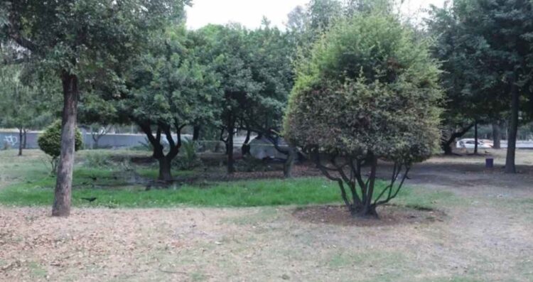 Hombre sin vida en Insurgentes Norte