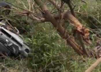 Maestra resulta lesionada tras volcadura en la carretera Sendero Nacional en Matamoros