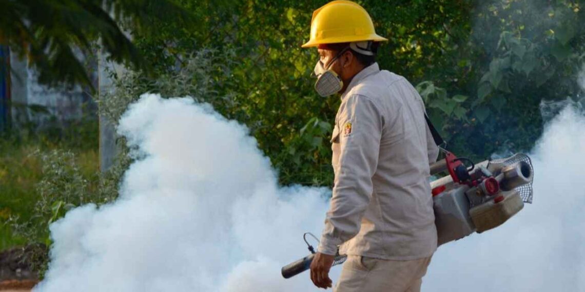 México enfrenta un aumento en los casos de fiebre Chikungunya