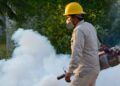 México enfrenta un aumento en los casos de fiebre Chikungunya