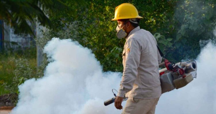 México enfrenta un aumento en los casos de fiebre Chikungunya