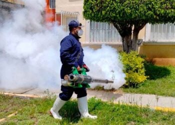 México supera 20 mil contagios de dengue y registra 85 muertes durante 2025