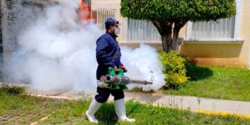 México supera 20 mil contagios de dengue y registra 85 muertes durante 2025