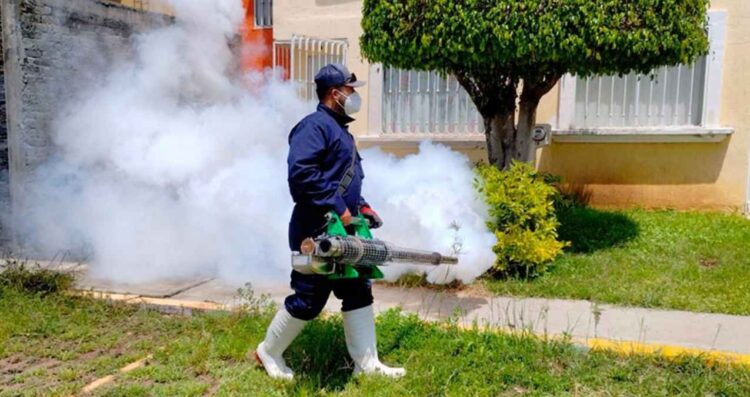 México supera 20 mil contagios de dengue y registra 85 muertes durante 2025