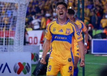 Nicolás Ibáñez regreso
