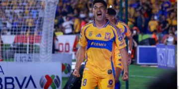 Nicolás Ibáñez regreso