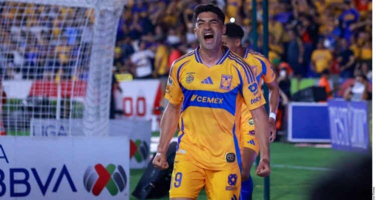 Nicolás Ibáñez regreso