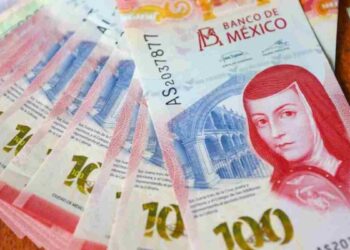 No recibí aguinaldo 2025 ¿Qué debo de hacer en México?