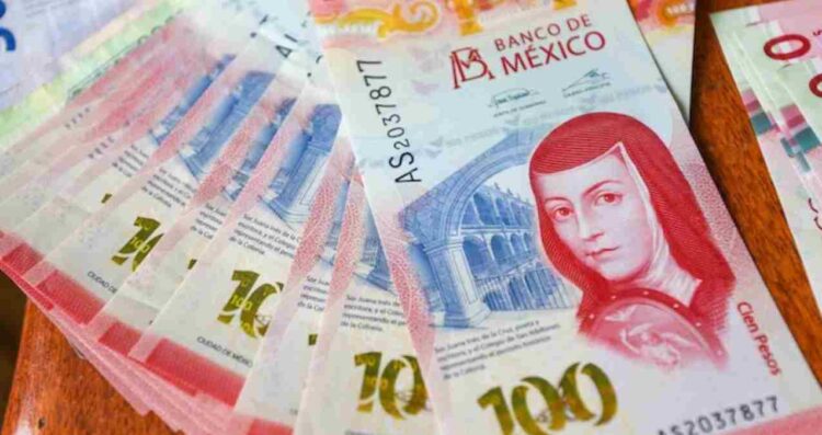 No recibí aguinaldo 2025 ¿Qué debo de hacer en México?