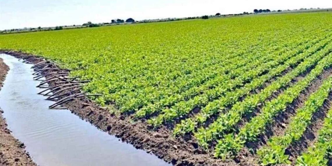 PAN votará reforma de aguas