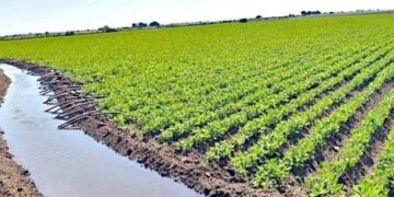 PAN votará reforma de aguas