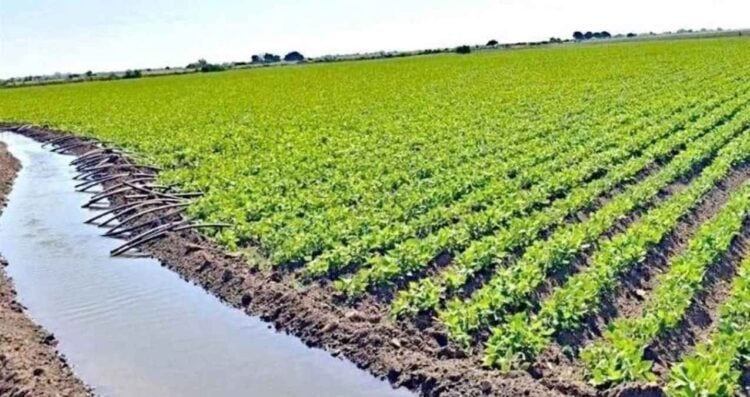 PAN votará reforma de aguas