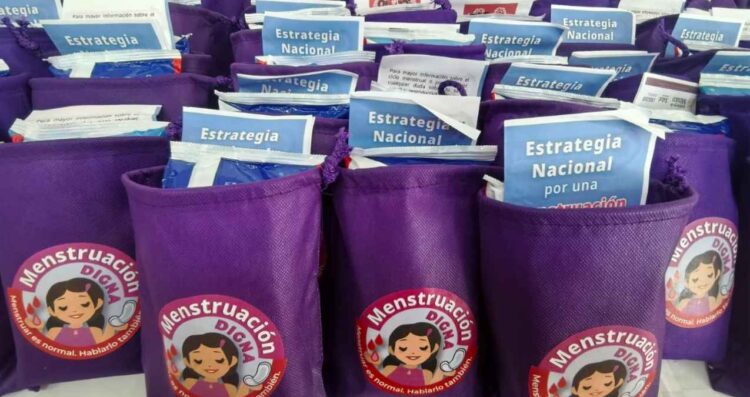 Presenta SEP y Ssa Estrategia Nacional por una Menstruación Digna en educación básica y media superior