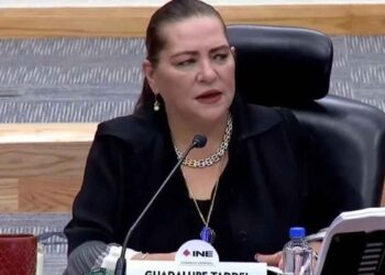 Taddei propuesta reforma electoral