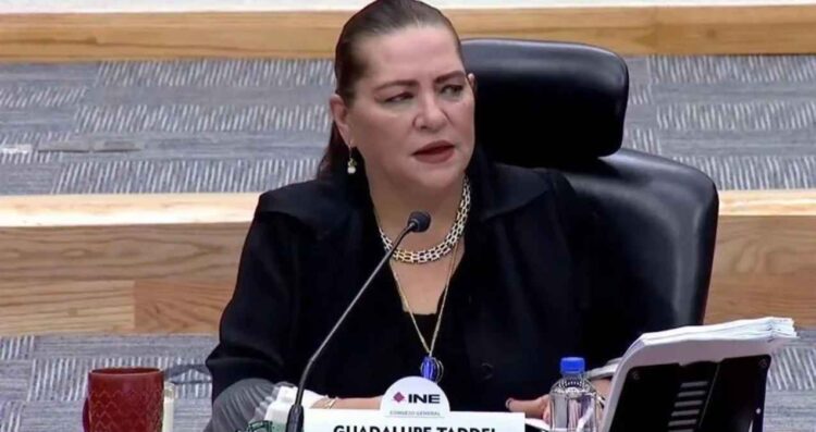 Taddei propuesta reforma electoral