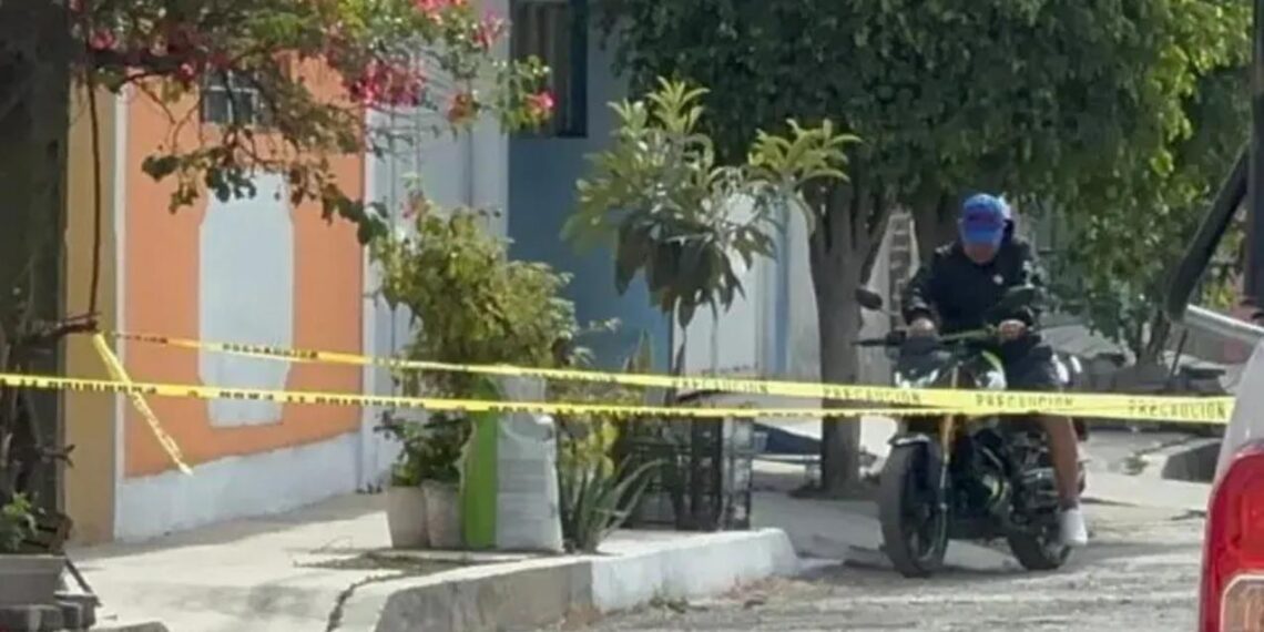 Restos de recién nacido quedaron abandonados en una calle de Ecatepec