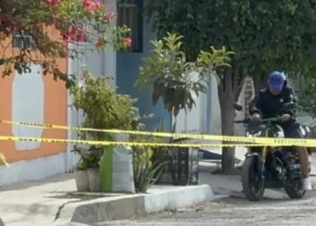Restos de recién nacido quedaron abandonados en una calle de Ecatepec