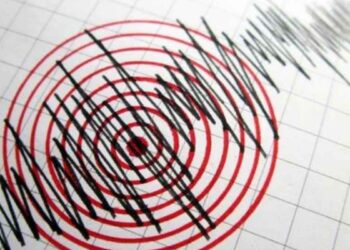 sismo Santa Catarina