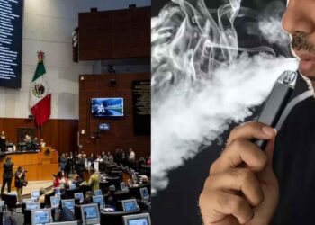 Senado general particular vapeadores