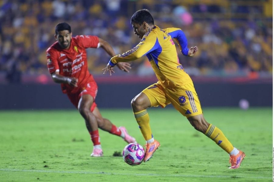 Tigres UANL refuerzos