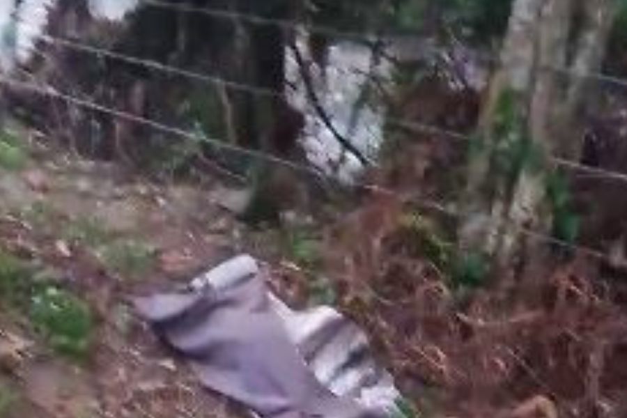 Tragedia en Veracruz Autobús cae a barranco en Zontecomatlán y deja fallecidos