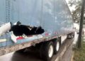 Tráiler impacta vagón en San Nicolás