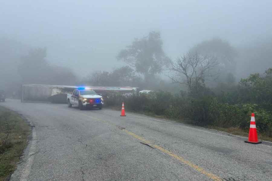 Vuelca con alimento en Tula (1)