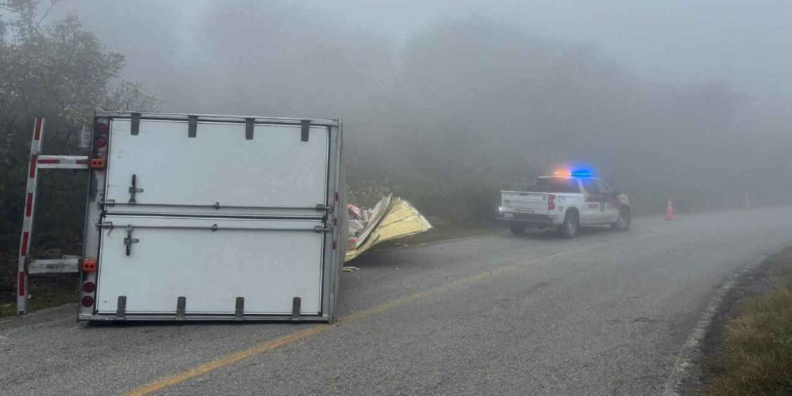Vuelca con alimento en Tula