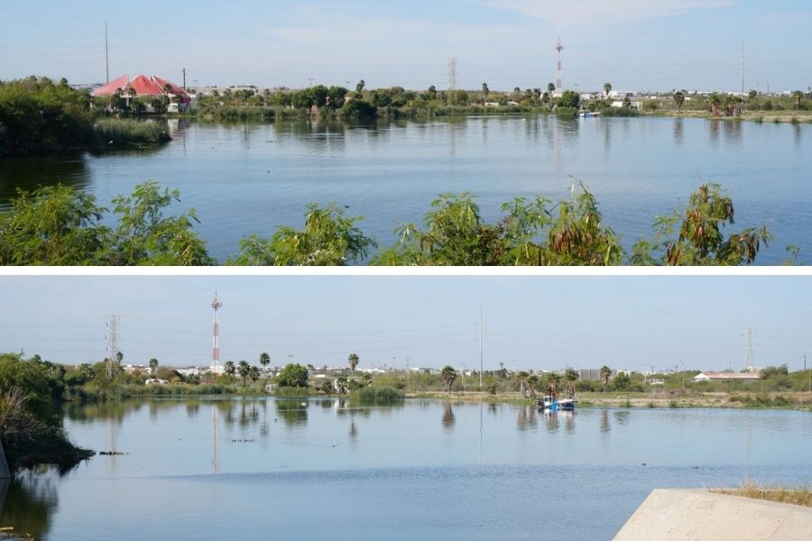 avistamiento de cocodrilo en Nuevo Laredo