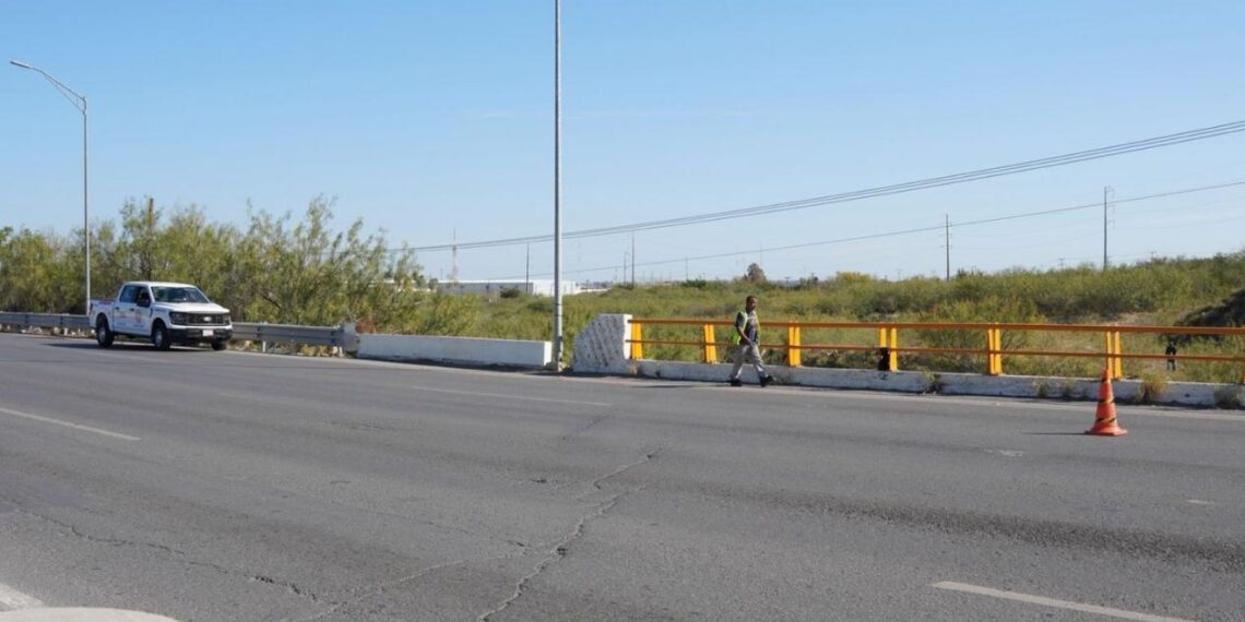 avistamiento de cocodrilo en Nuevo Laredo