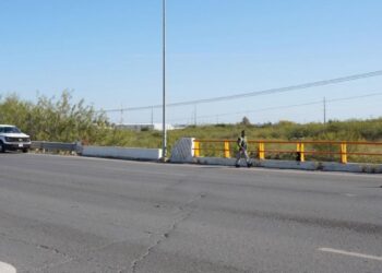 avistamiento de cocodrilo en Nuevo Laredo