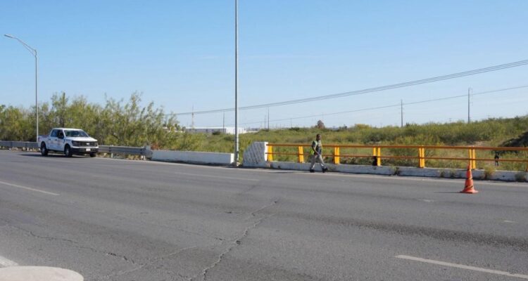 avistamiento de cocodrilo en Nuevo Laredo