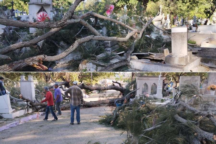 caída de árbol en panteón de Tampico