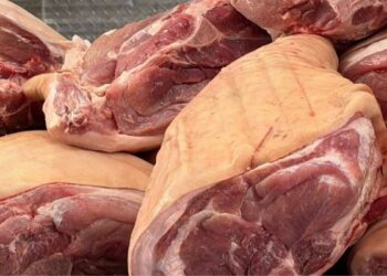 carne informal Tamaulipas