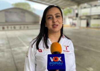 conducir en estado de ebriedad Ciudad Victoria