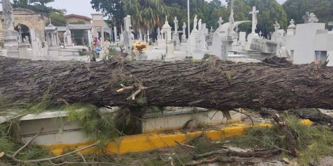 emergencias por frío en Ciudad Victoria