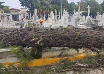 emergencias por frío en Ciudad Victoria