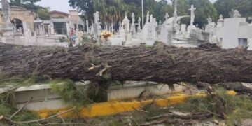 emergencias por frío en Ciudad Victoria