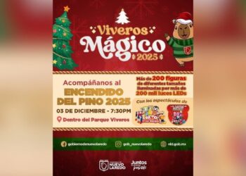 encendido del Pino Navideño en Nuevo Laredo