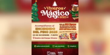 encendido del Pino Navideño en Nuevo Laredo