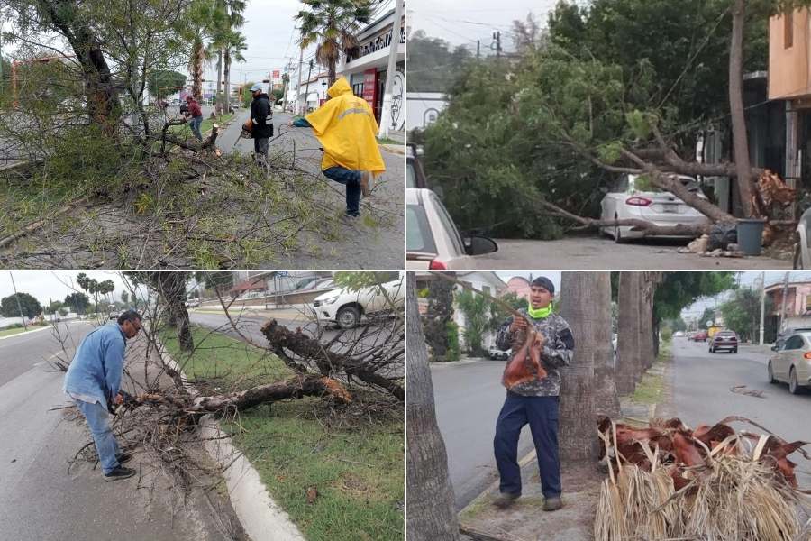 fuertes vientos en ciudad victoria