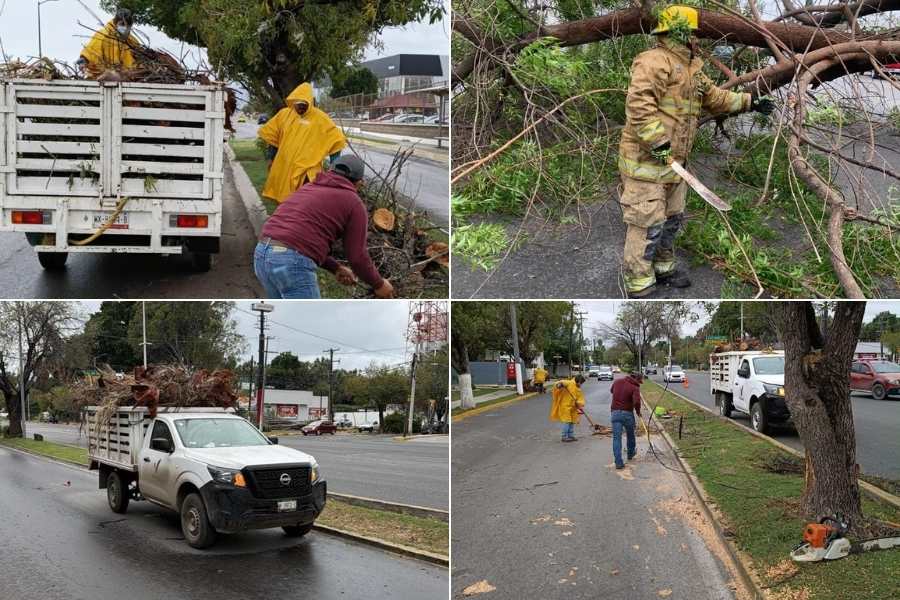 fuertes vientos en ciudad victoria