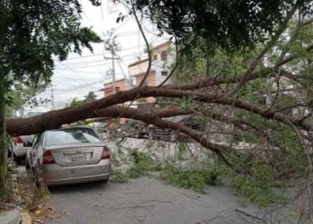 fuertes vientos en ciudad victoria